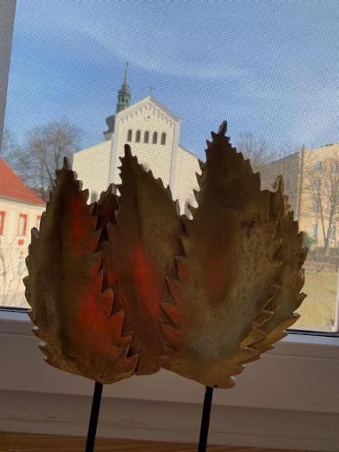 Apartament Bella Blu Opole Zewnętrze zdjęcie